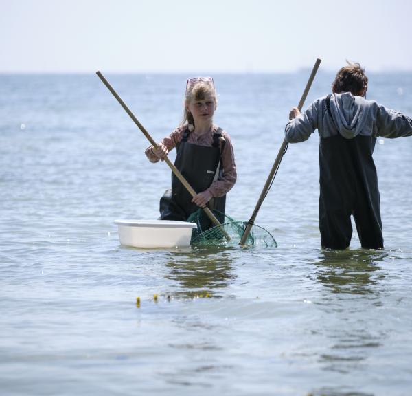 Børn i vandet v. øhavsakademiet